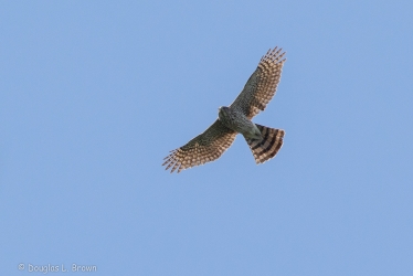 20200510-200A7402.jpg