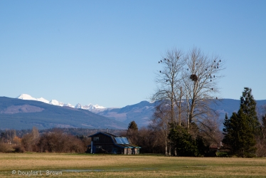 20190129-738B7146.jpg