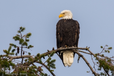 20191006-200A8369.jpg