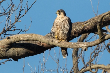 20201204-_O7A2291.jpg