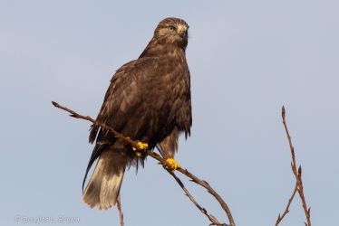 20201102-4O7A6659.jpg