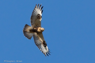 20201106-4O7A7244.jpg