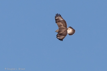 20201106-4O7A7262.jpg