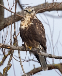20201113-4O7A9182.jpg