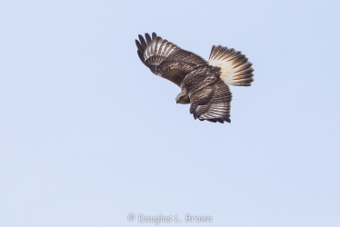 20201127-4O7A0856.jpg