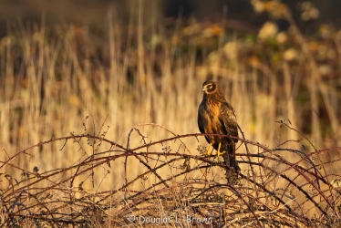 20201201-4O7A1877.jpg