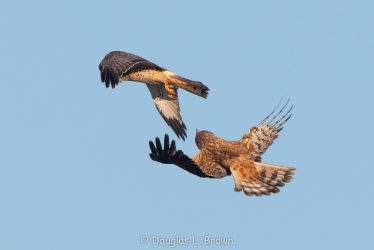 20201204-_O7A2609.jpg