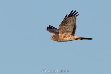 20201204-_O7A2630.jpg