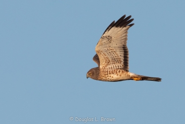 20201204-_O7A2636.jpg