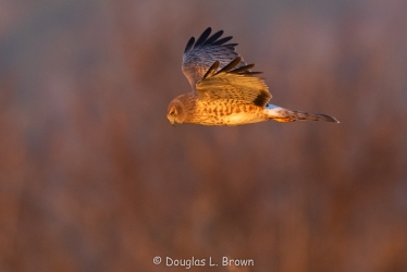 20201204-_O7A2864.jpg