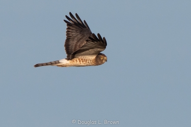 20201223-_O7A4683.jpg