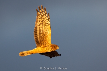 20201228-_O7A5140.jpg