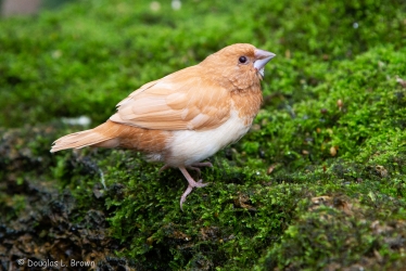 20191007-738B8053.jpg