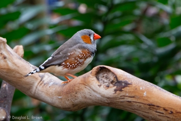 20191007-738B8077.jpg