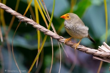 20191007-738B8143.jpg