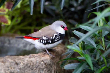 20191007-738B8326.jpg