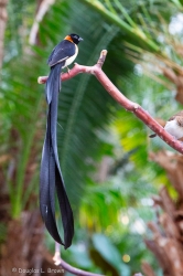 20191007-738B8392.jpg