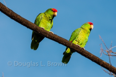 20120124-DSC_6318.jpg