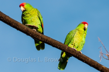 20120124-DSC_6322.jpg