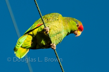 20120125-DSC_6383.jpg