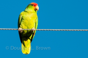 20120125-DSC_6396.jpg