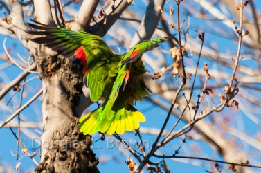 20120125-DSC_6420.jpg