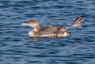 20201005-4O7A2128.jpg