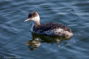 20201005-4O7A2147.jpg