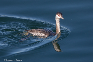 20201101-4O7A5618.jpg