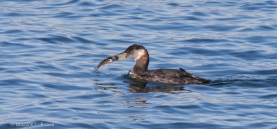 20201101-4O7A5685.jpg