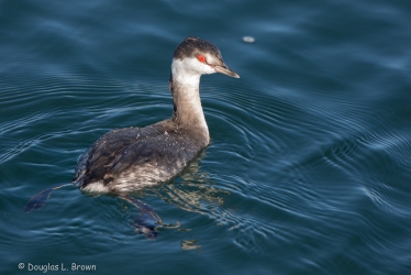 20201101-4O7A5692.jpg