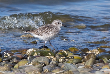 20201005-4O7A1982.jpg