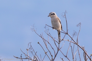 20191229-200A8468.jpg