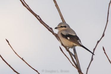 20201228-_O7A4938.jpg