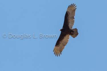 20140420-738B7276.jpg